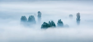 Morgennebel, Bäume ragen aus dem Nebel, Unstruttal, Freyburg (Unstrut), Sachsen-Anhalt, Deutschland Morgennebel, Bäume ragen aus dem Nebel, Unstruttal, Freyburg (Unstrut), Sachsen-Anhalt, Deutschland
